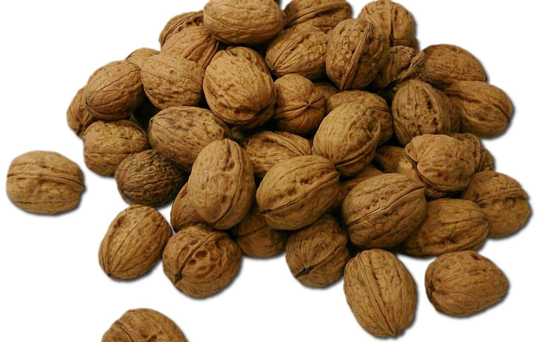 Walnuts & Old Age: A Small Nut With Big Benefits